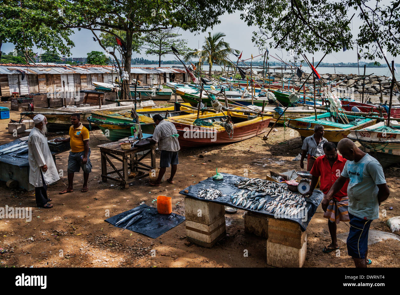 Bunte Fischerboote in Negombo Sri Lanka Stockfoto