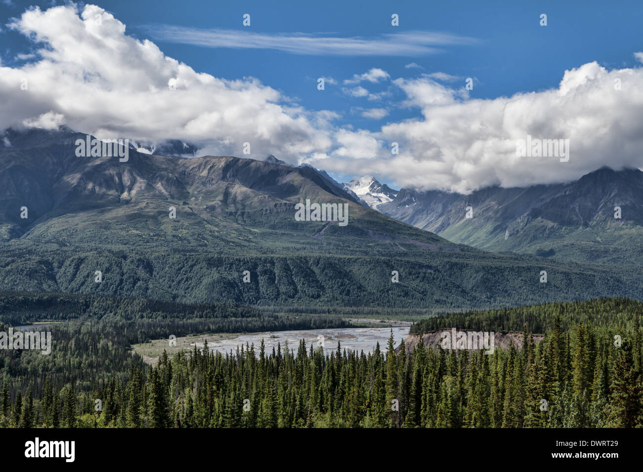 Blick auf die Berge von Glenn Highway in Alaska Yunan im Sommer. Stockfoto