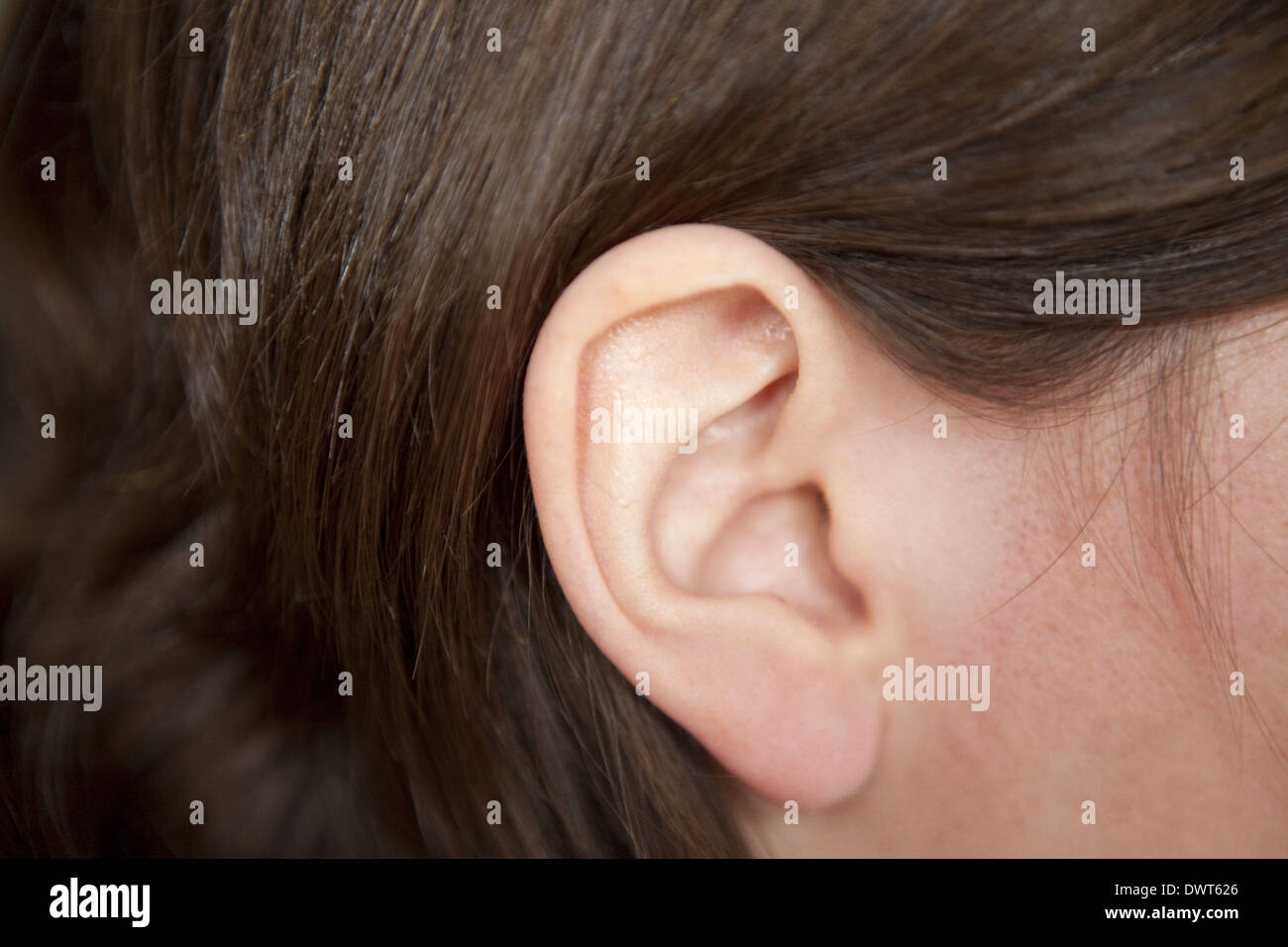 Ohr Stockfoto