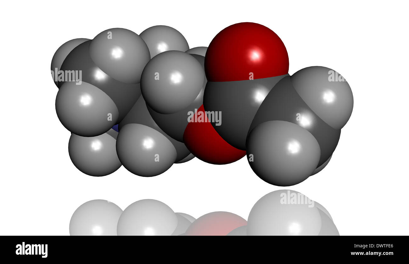 Acetylcholin-Molekül Stockfoto