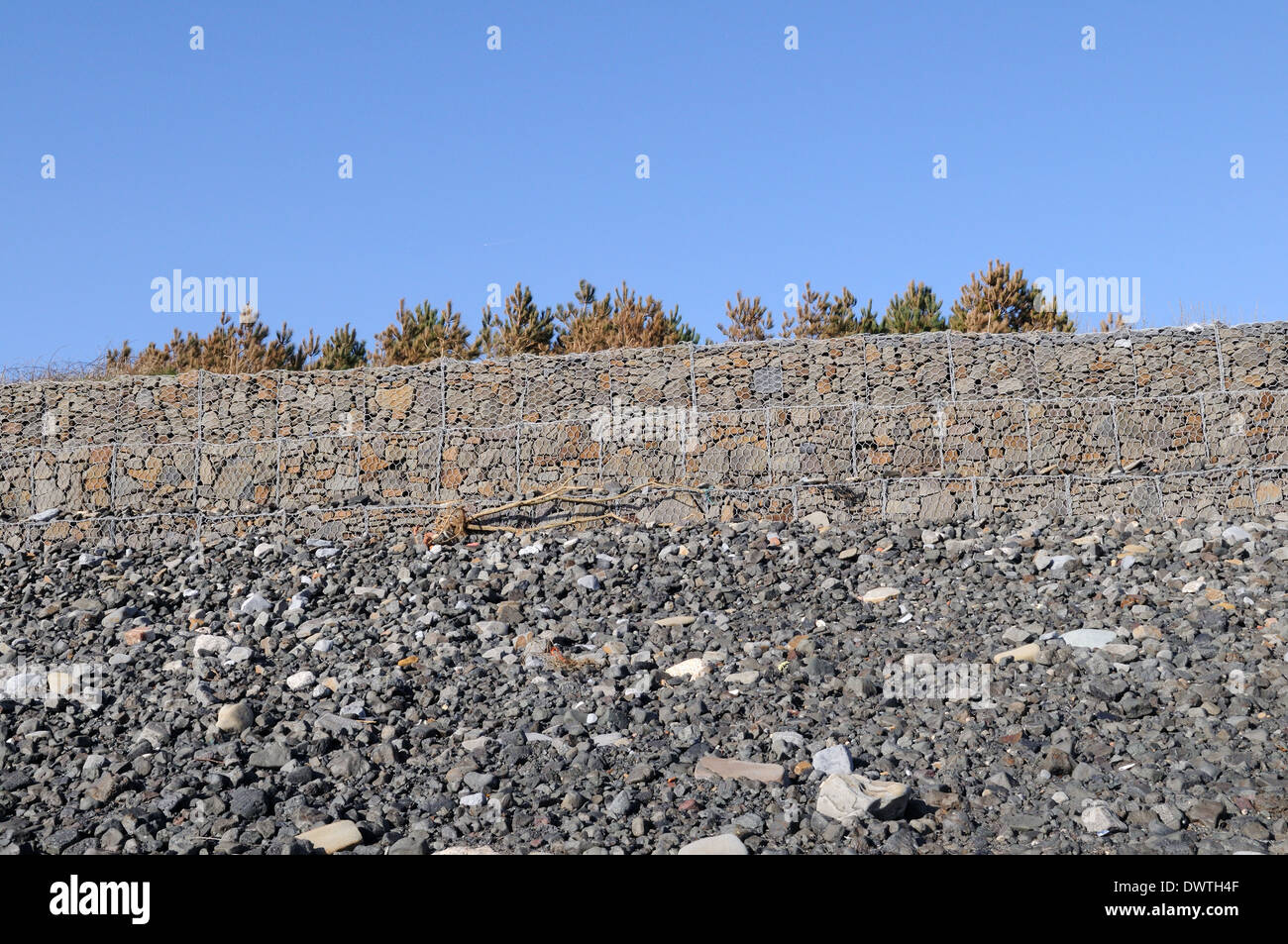 Gabion Meer Verteidigung zum Schutz gegen Küstenerosion Millennium Coastal Park Llanelli Carmarthenshire Wales Cymru UK GB Stockfoto