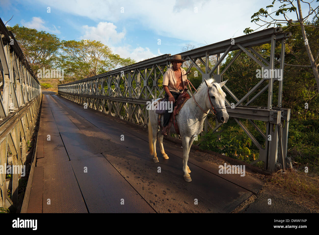 Mann auf einem Pferd auf der Brücke über den Rio Cocle del Sur, in der Nähe von Santa Maria in Cocle Provinz, Republik von Panama. Stockfoto