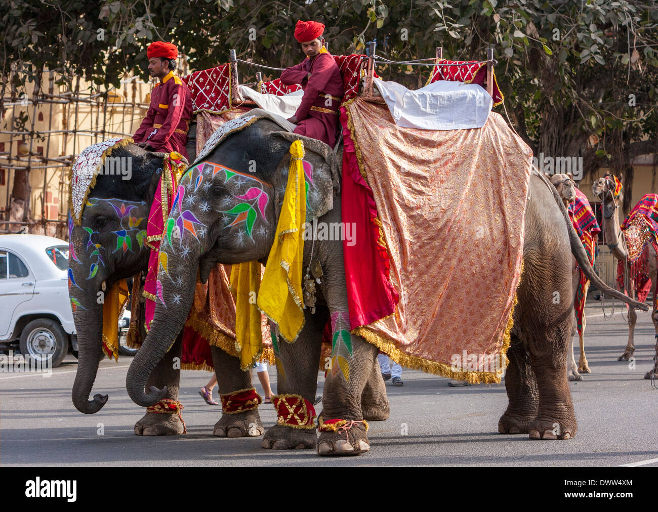 Jaipur, Rajasthan, Indien. Mahouts und ihre Elefanten-Vorbereitung ein Hochzeitszug zu führen. Stockfoto