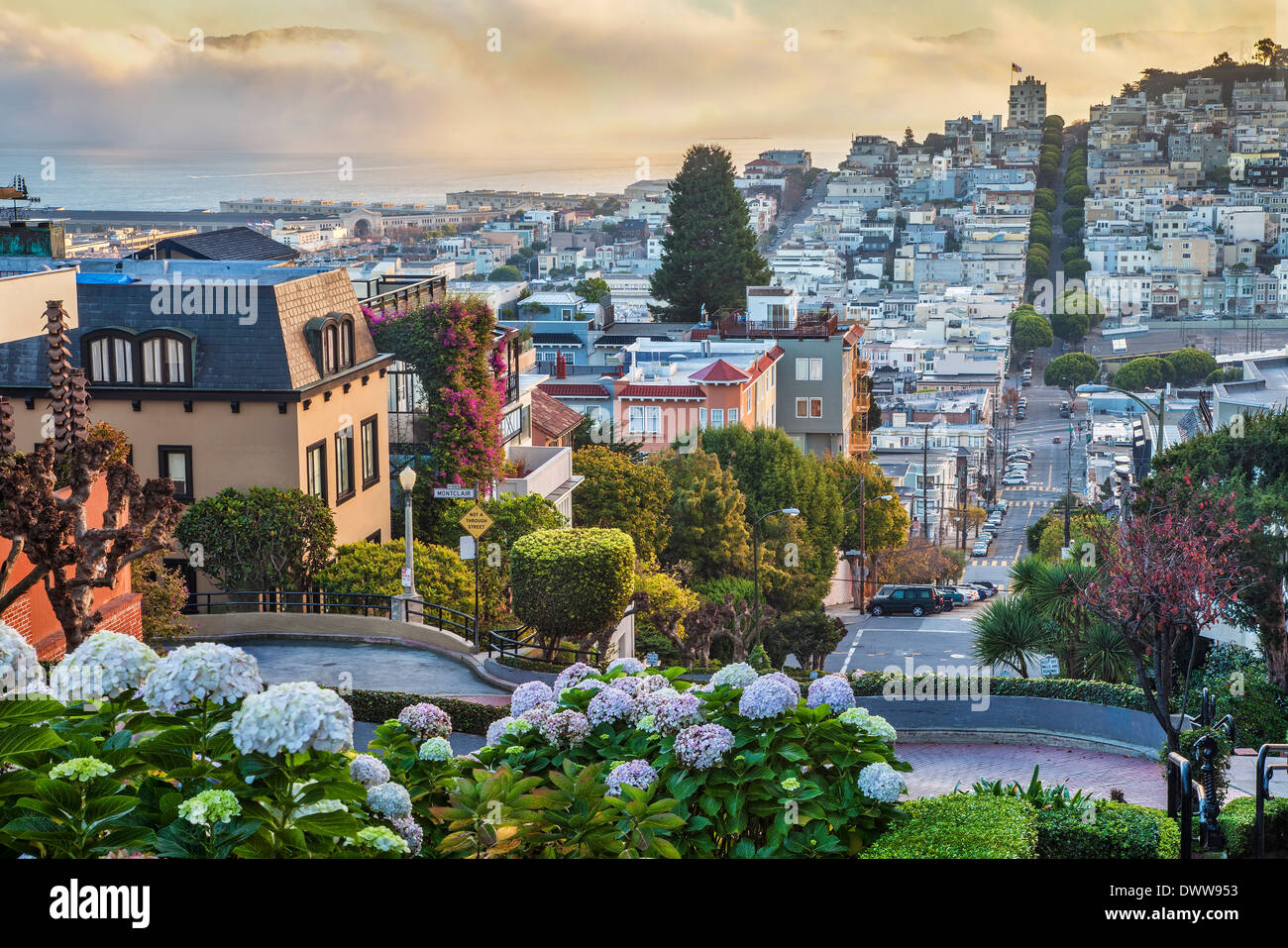 San Francisco am frühen Morgen Blick von oben auf die Lombard Street Stockfoto