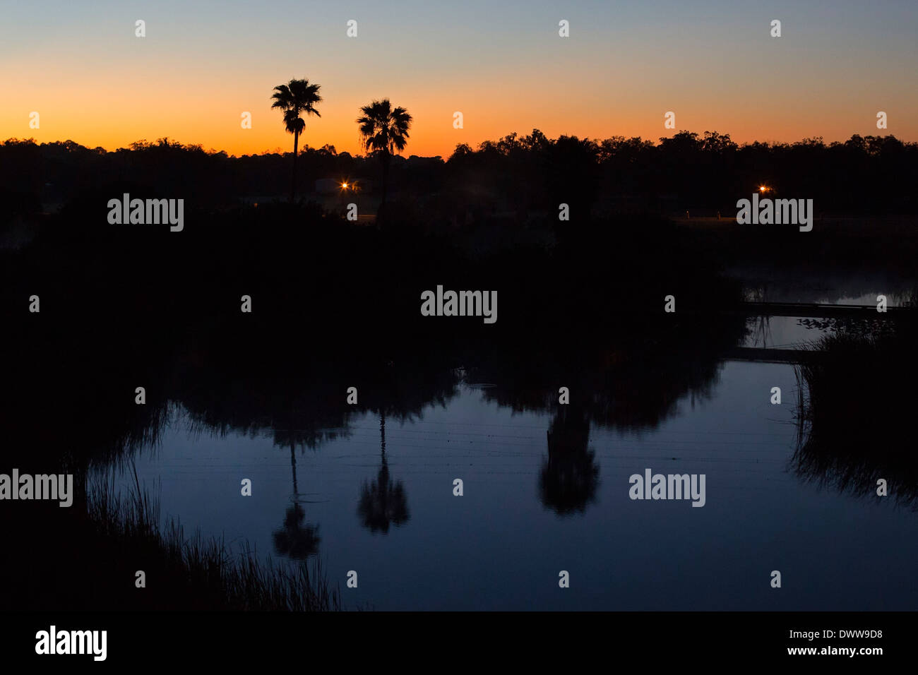 LaBelle, Florida - Palmen, die Silhouette in der Morgendämmerung. Stockfoto