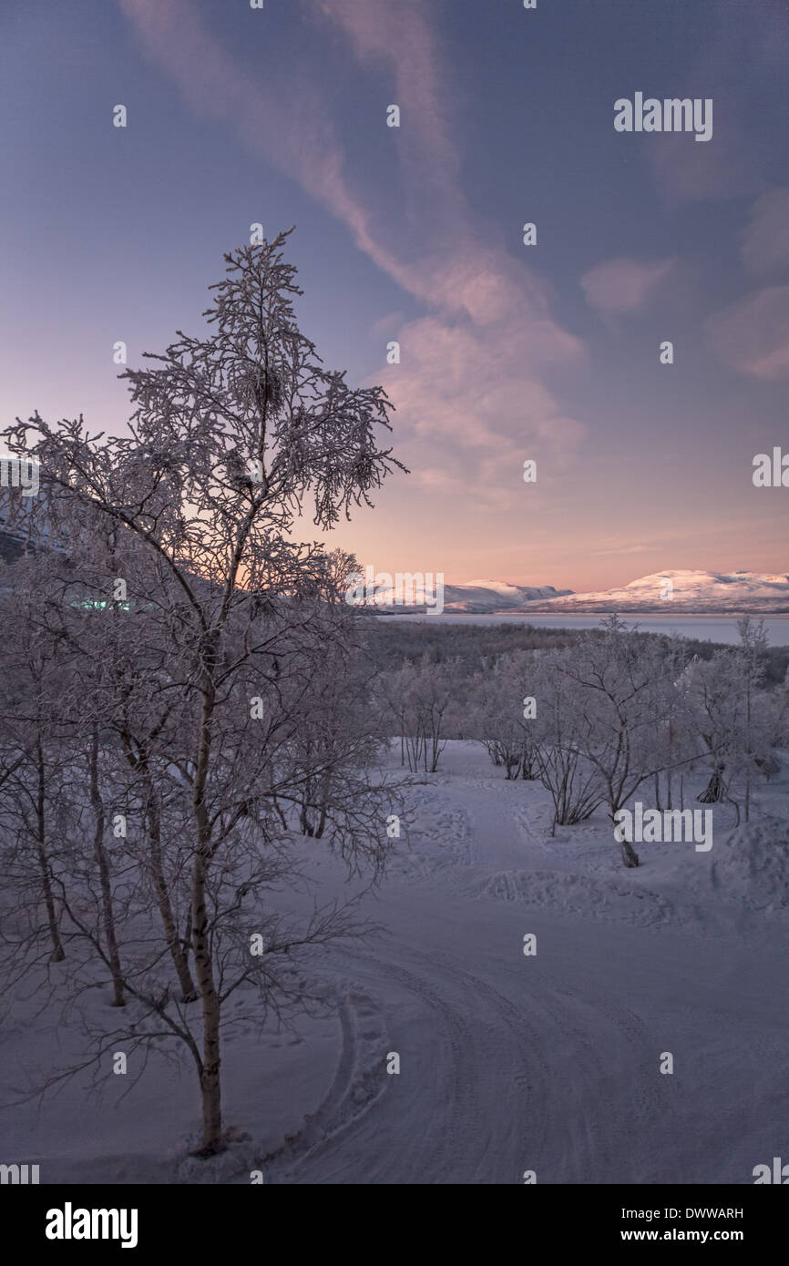 Winterlandschaft in Abisko, Schweden Stockfoto