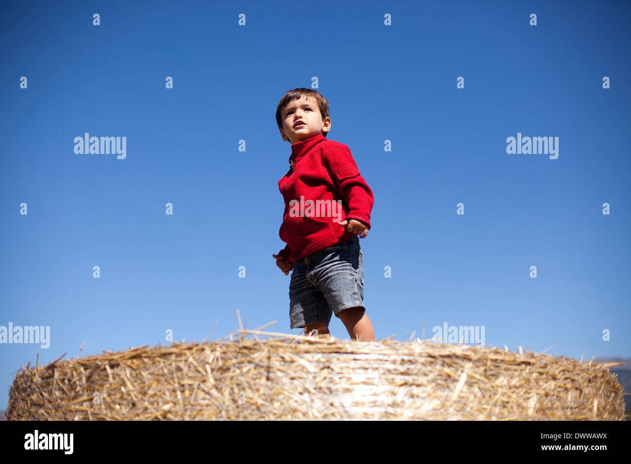 Zwei Jahre alter Junge auf Strohballen Stockfoto
