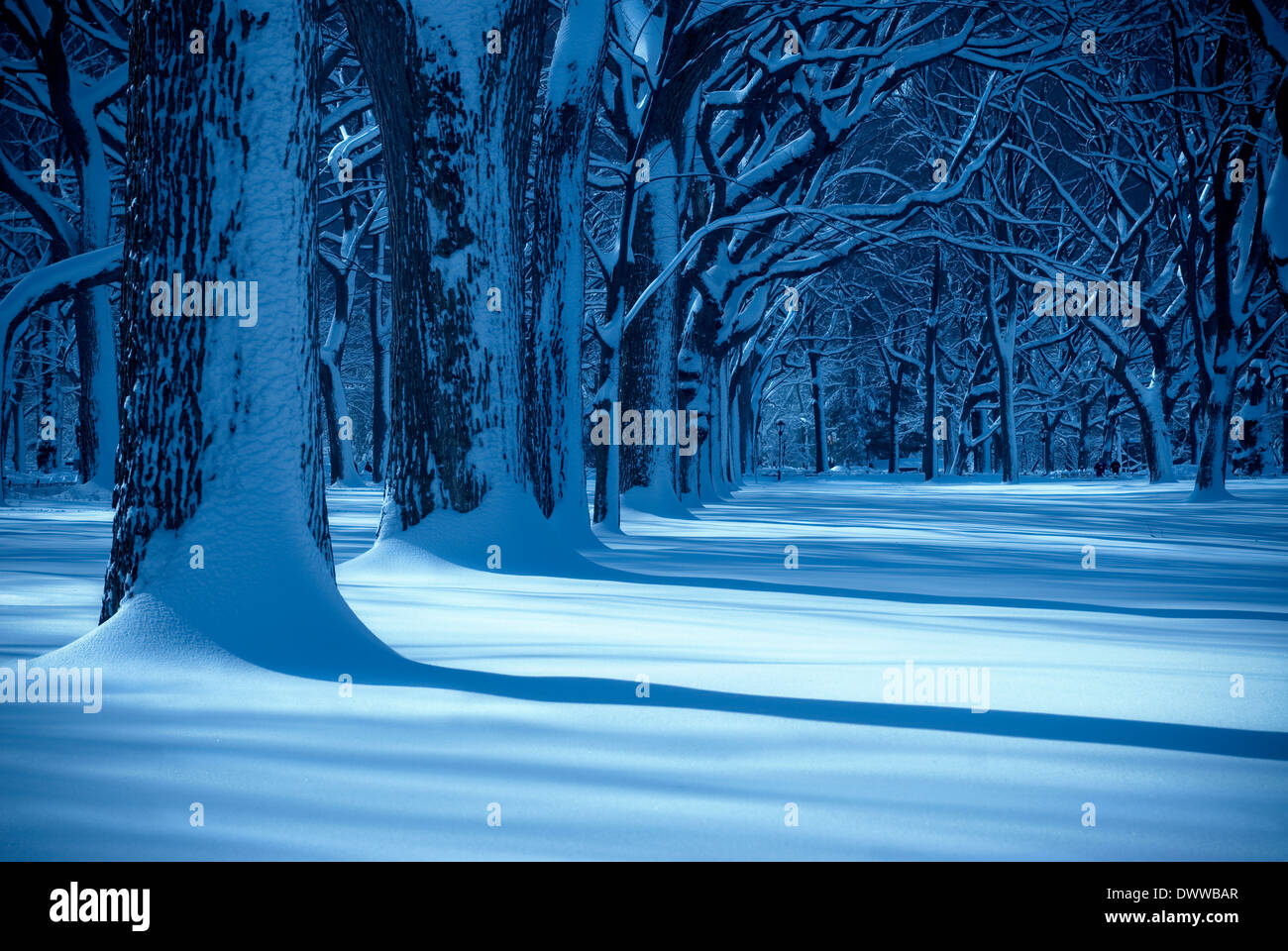 Geheimnisvolle Landschaft mit Sonnenstrahl auf einem schneebedeckten Feld mit Bäume und Schatten. Stockfoto