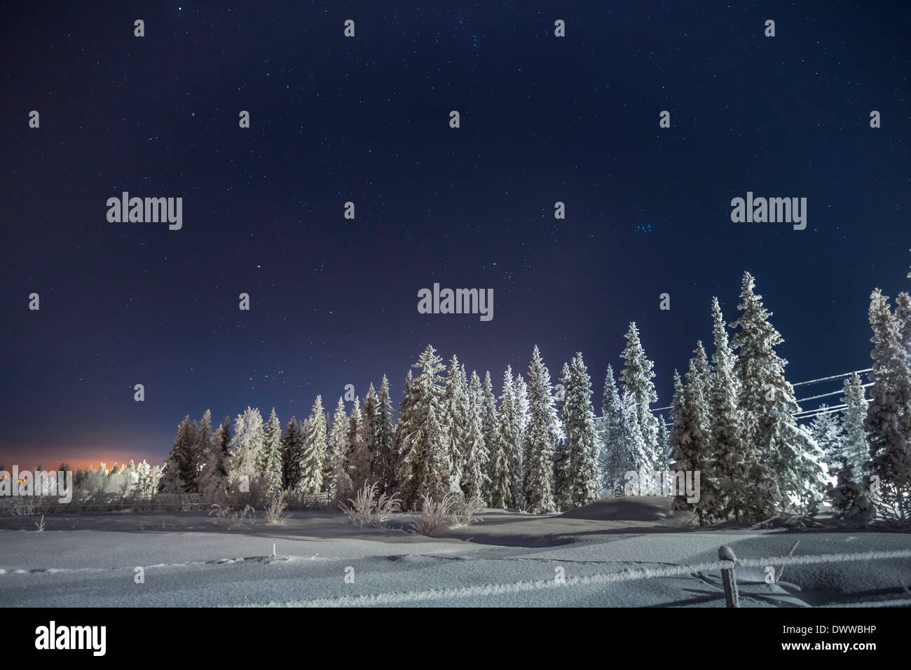 Winterlandschaft, kalten Temperaturen so niedrig wie-47 Celsius, Lappland, Schweden Stockfoto