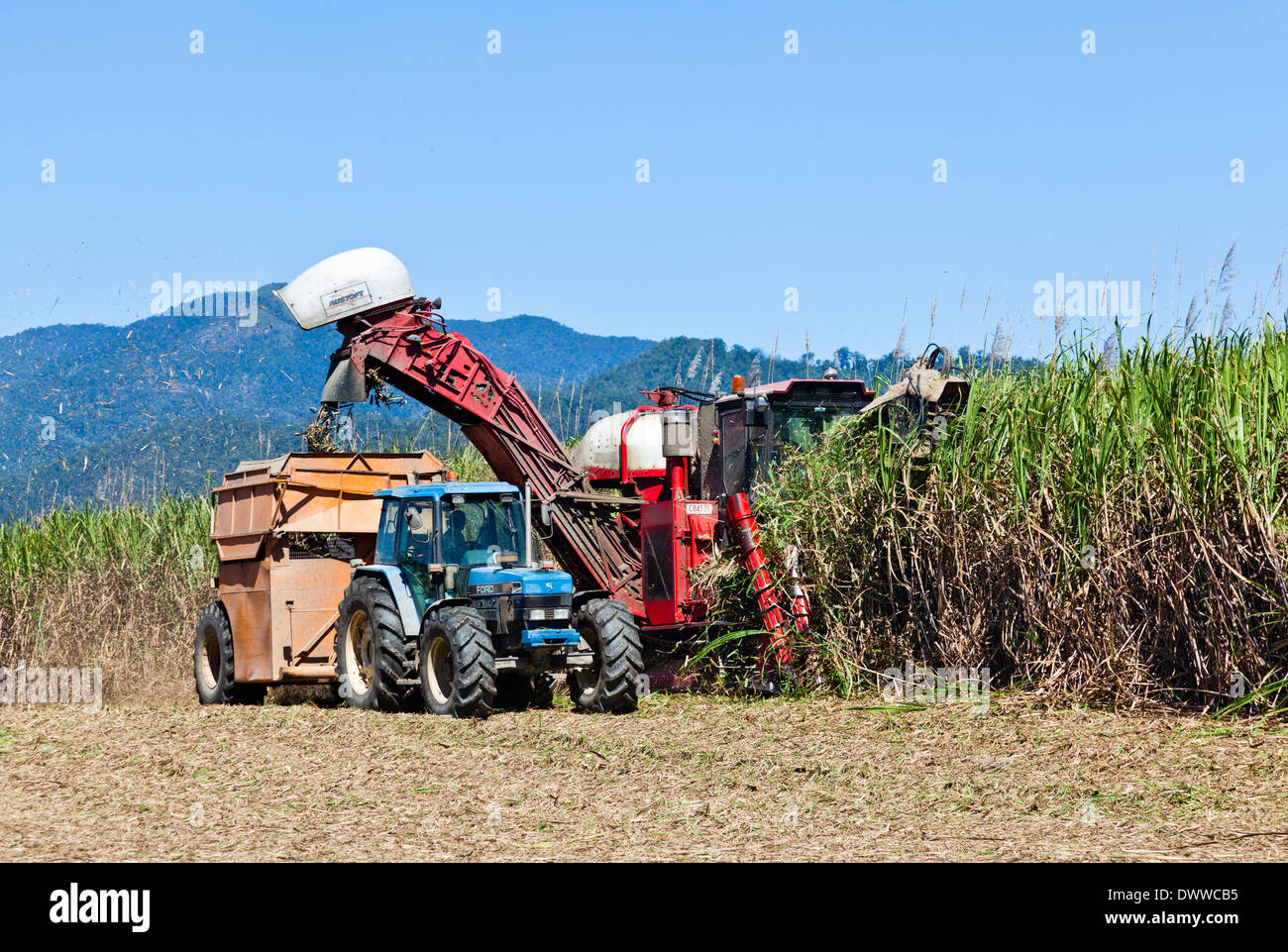 Australien, Queensland, Zuckerrohr-Ernte in der Nähe von Silkwood, Cassowary Coast Region, Zuckerrohr Mähdrescher bei der Arbeit Stockfoto