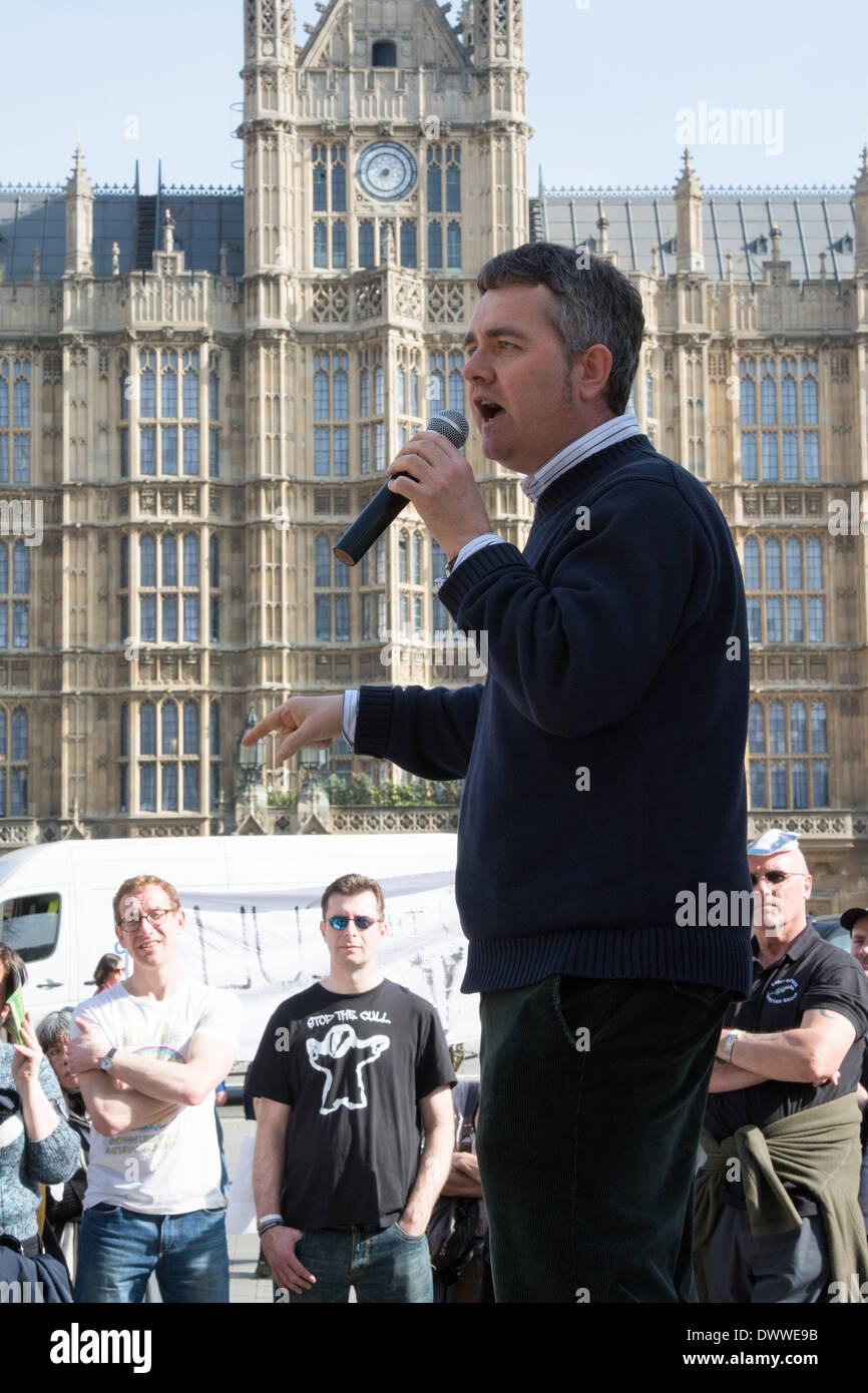 London, UK. 13. März 2014.  Dominic Dyer des Dachs Trust spricht, wie Demonstranten außerhalb Westminster zu sammeln, während eine parlamentarische Debatte über die umstrittene Dachs Keulung innerhalb des House Of Commons erfolgt. Dachse haben in Verbindung gebracht worden, um die Ausbreitung von bovine Tuberkulose bei Rindern und experimentelle Keulungen Dachse erfolgten im Jahr 2013 in einem Versuch, die Ausbreitung der Krankheit zu stoppen. Anti-Keulung Demonstranten haben behauptet, dass die Keulung ineffizient, unmenschlich und wissenschaftlich fehlerhaft ist. Bildnachweis: Patricia Phillips/Alamy Live-Nachrichten Stockfoto