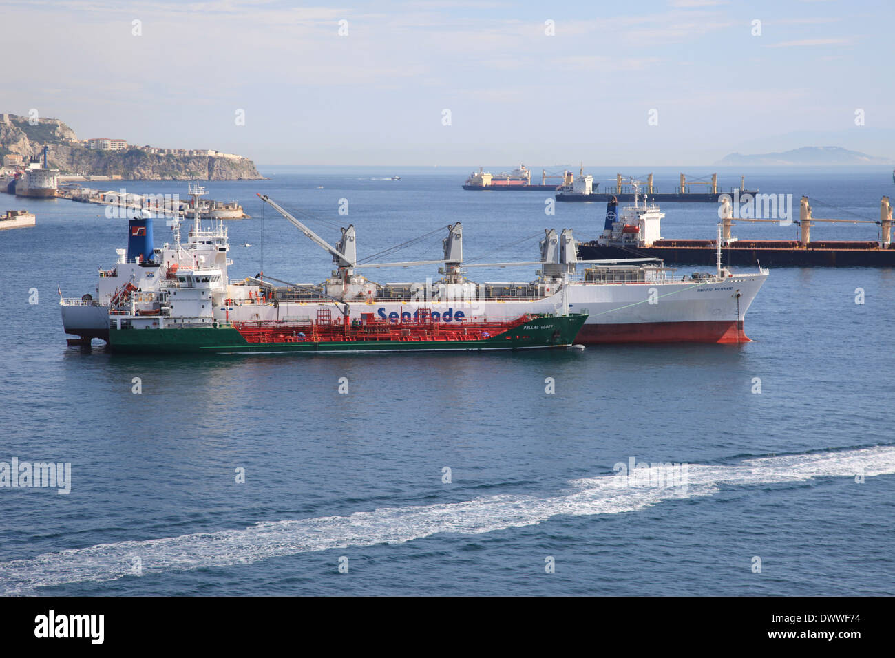 Pallas ruhm Fotos und Bildmaterial in hoher Auflösung Alamy