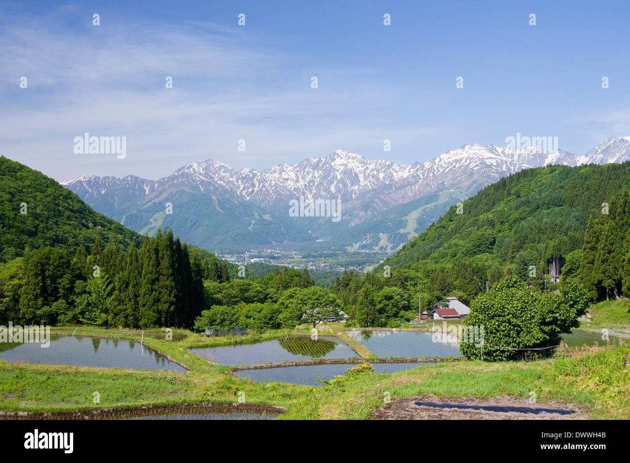 Japanischen Nordalpen und Reisfelder, Präfektur Nagano, Japan Stockfoto