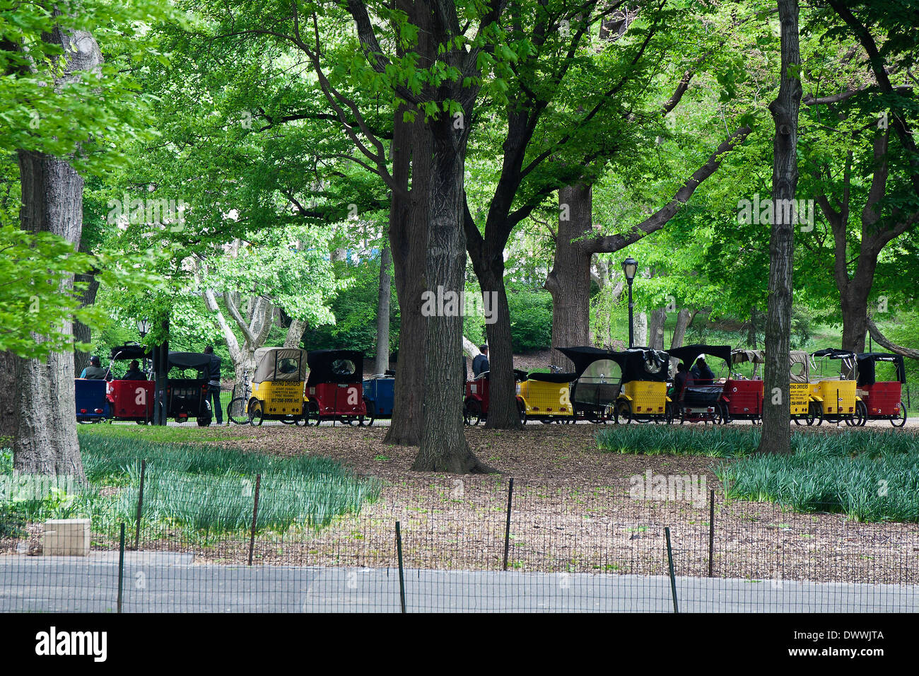 Fahrrad-Rikschas geparkt im Central Park, New York, USA Stockfoto