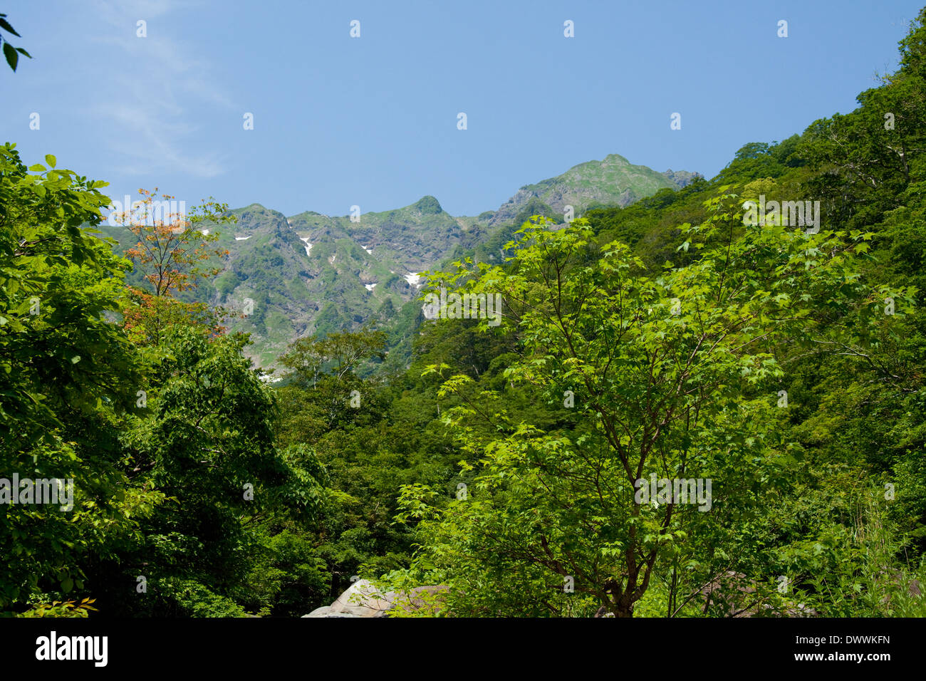 Mt Tanigawa, Präfektur Gunma, Japan Stockfoto