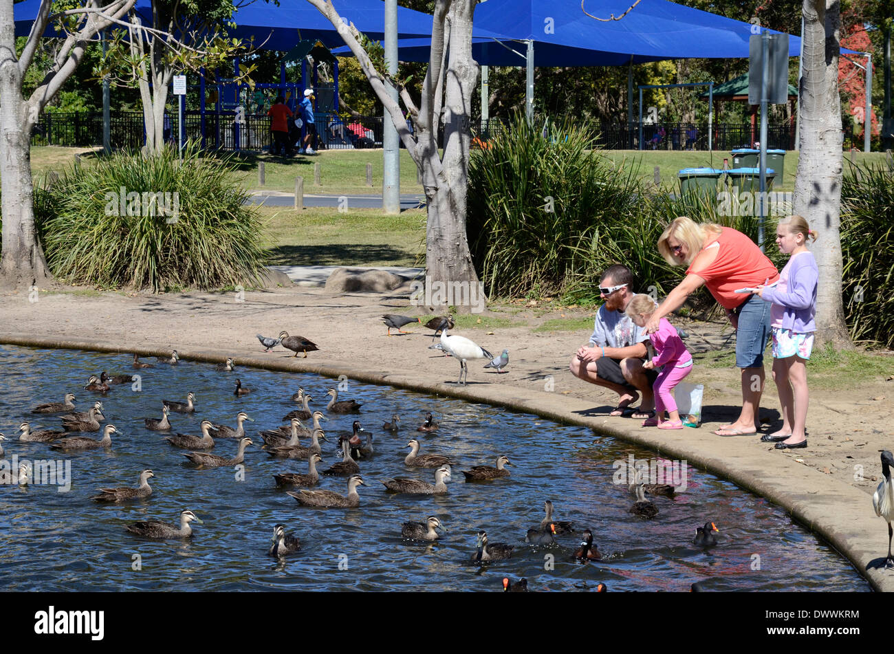 Enten kinder Fotos und Bildmaterial in hoher Auflösung Alamy