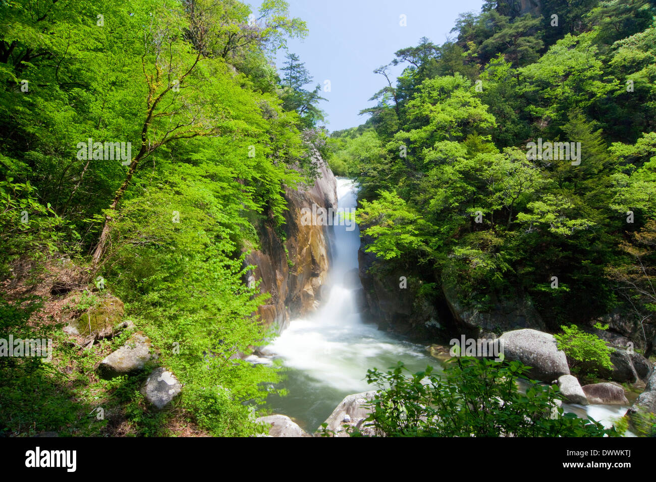 Wasserfall im Shosenkyo, Yamanashi Präfektur, Japan Stockfoto