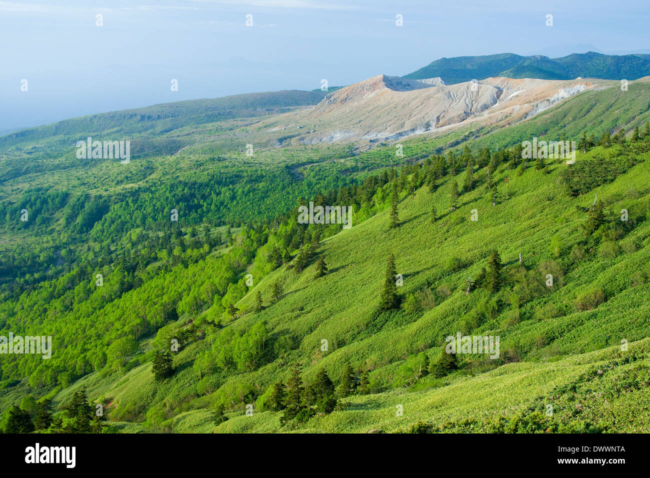 Shiga-Plateau, Präfektur Nagano, Japan Stockfoto
