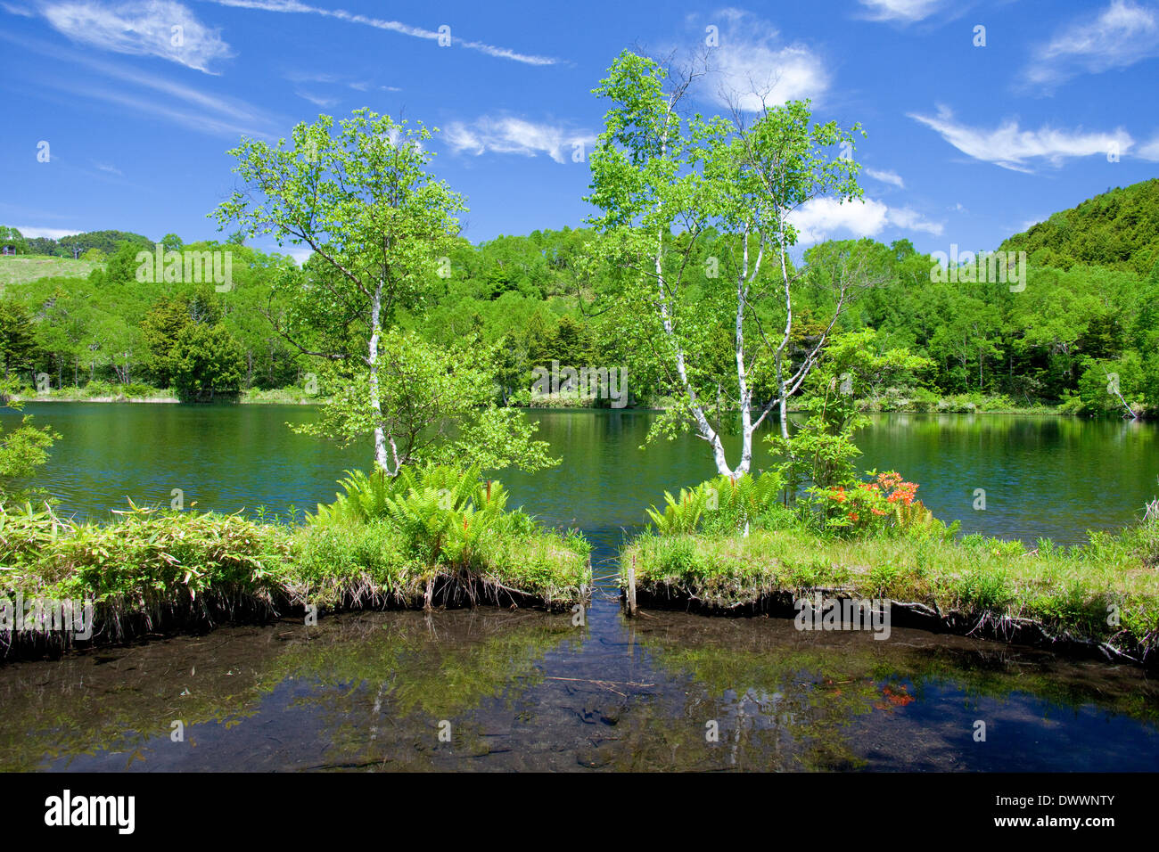 Shiga-Plateau, Präfektur Nagano, Japan Stockfoto