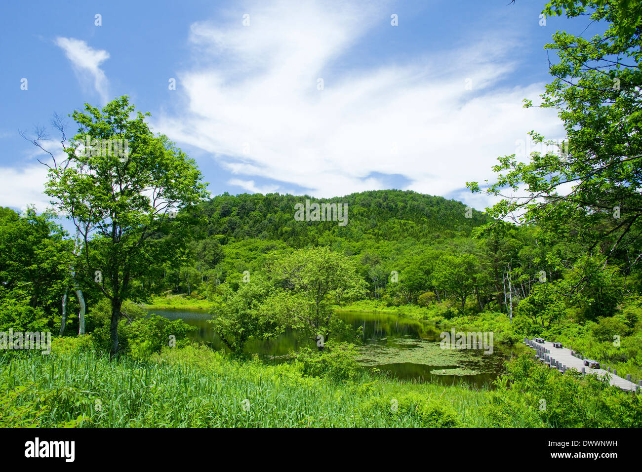 Shiga-Plateau, Präfektur Nagano, Japan Stockfoto