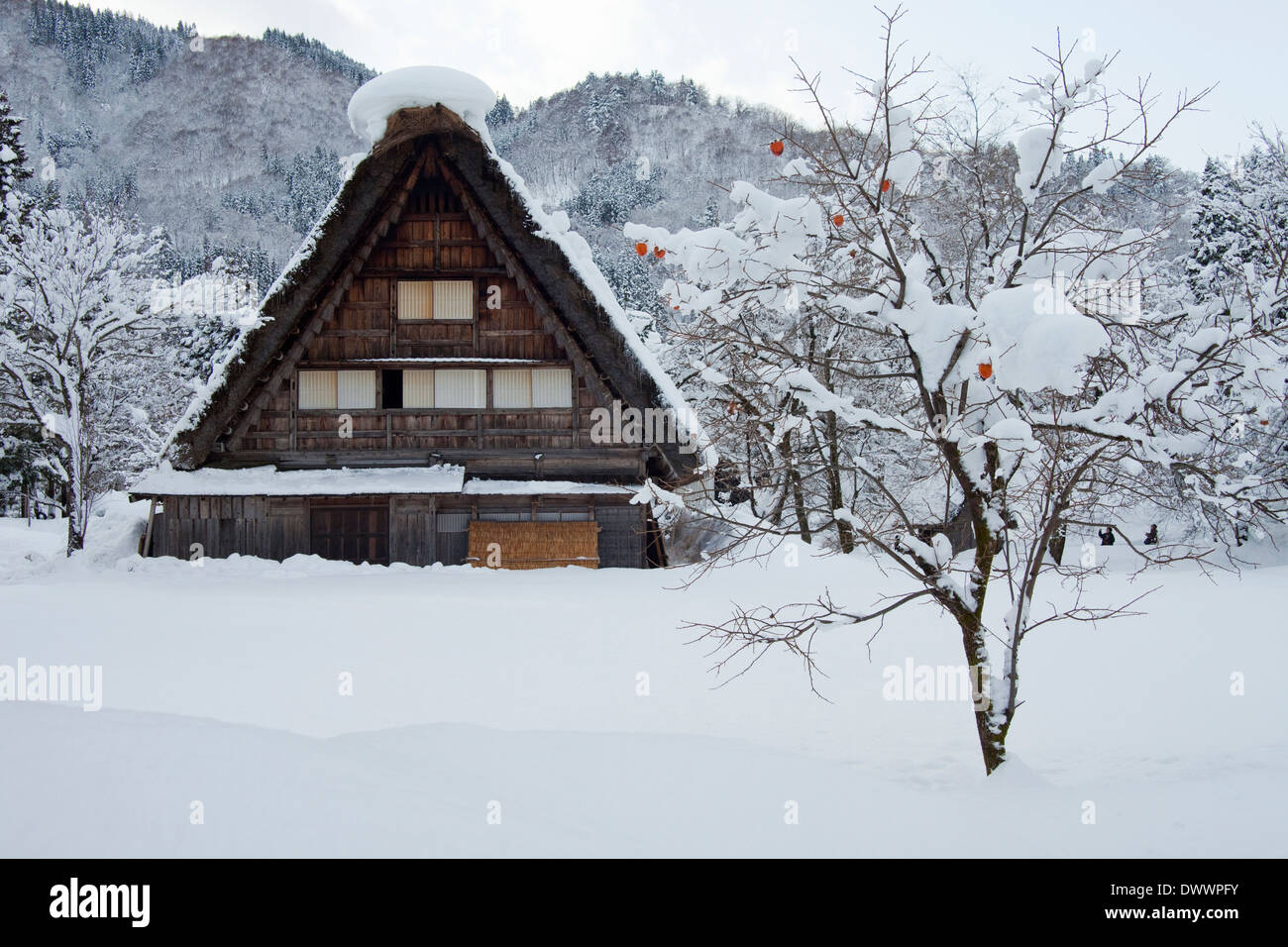 Altes Haus in Shirakawa Dorf im Winter, Präfektur Gifu, Japan Stockfoto