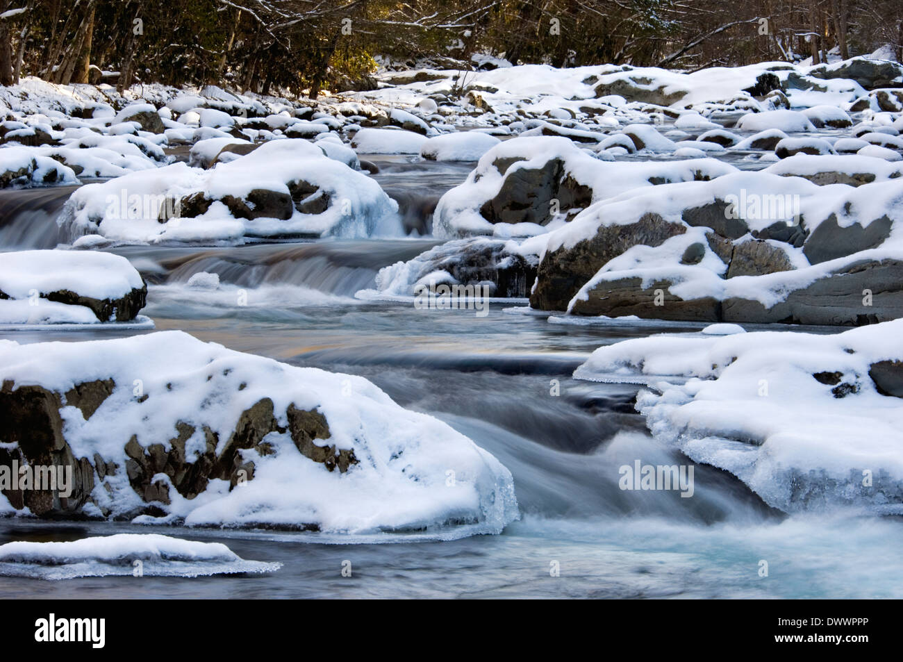 Schnee und Eis auf der Little Pigeon River im Nationalpark Great Smoky Mountains in Tennessee Stockfoto