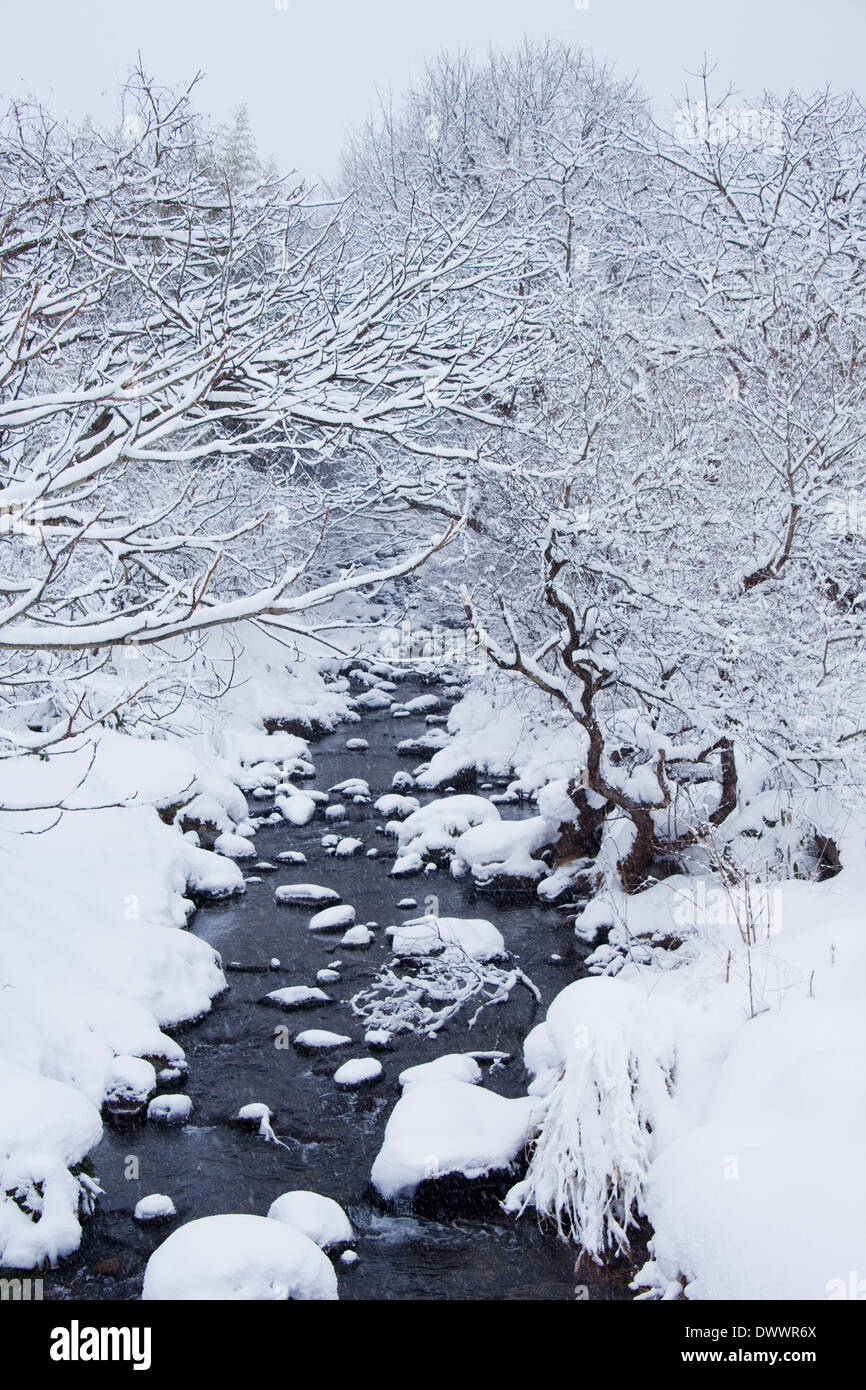 Winterlandschaft, Präfektur Gunma, Japan Stockfoto