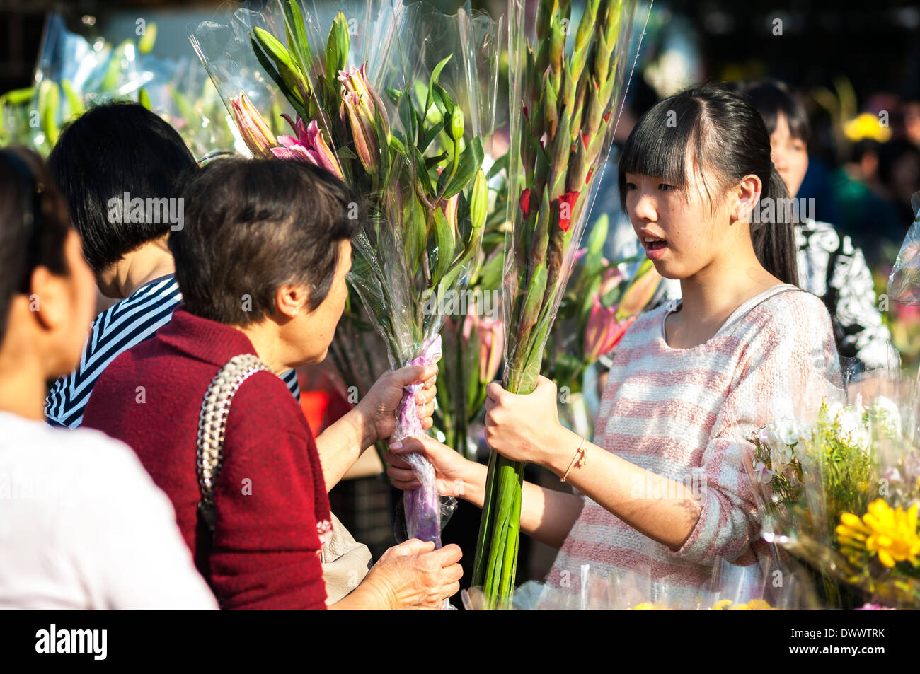 Blumen auf dem Neujahr Blumenmarkt, Victoria Park, Hong Kong kaufen Stockfoto