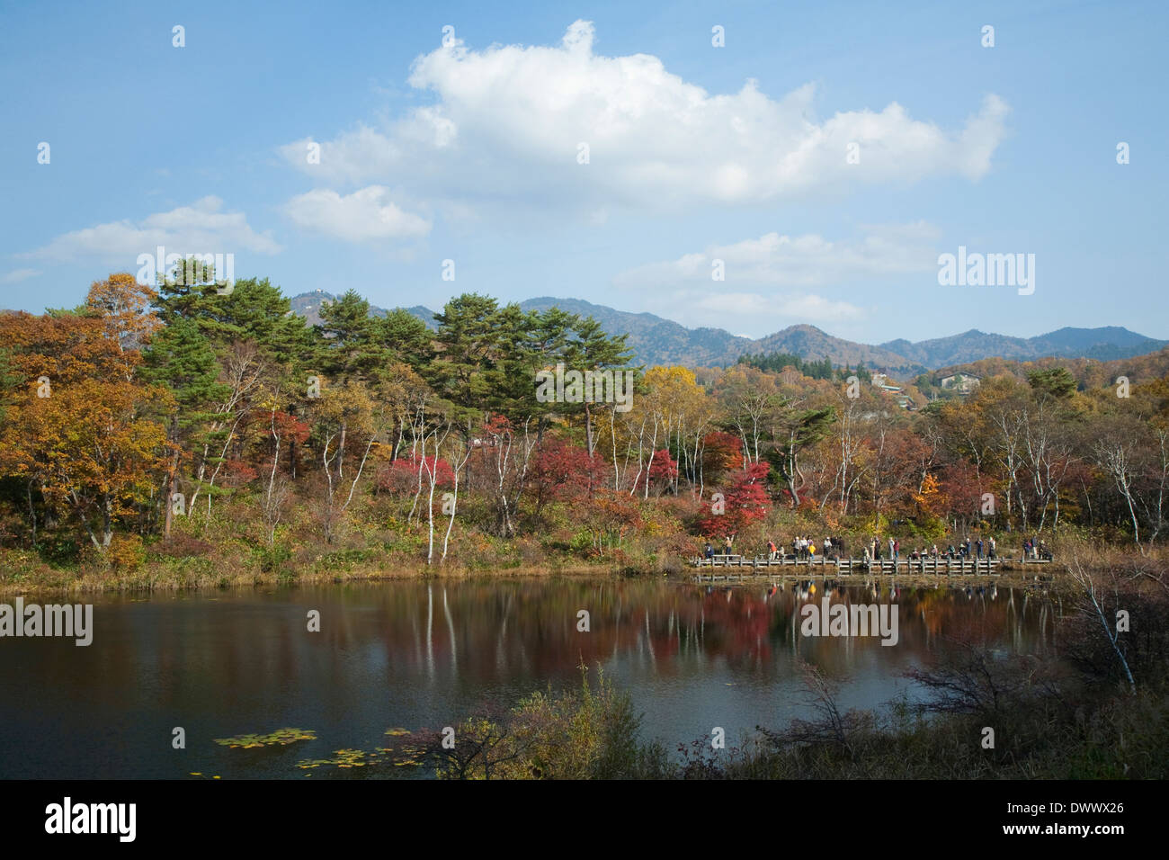 Shiga-Plateau im Herbst, Nagano, Japan Stockfoto