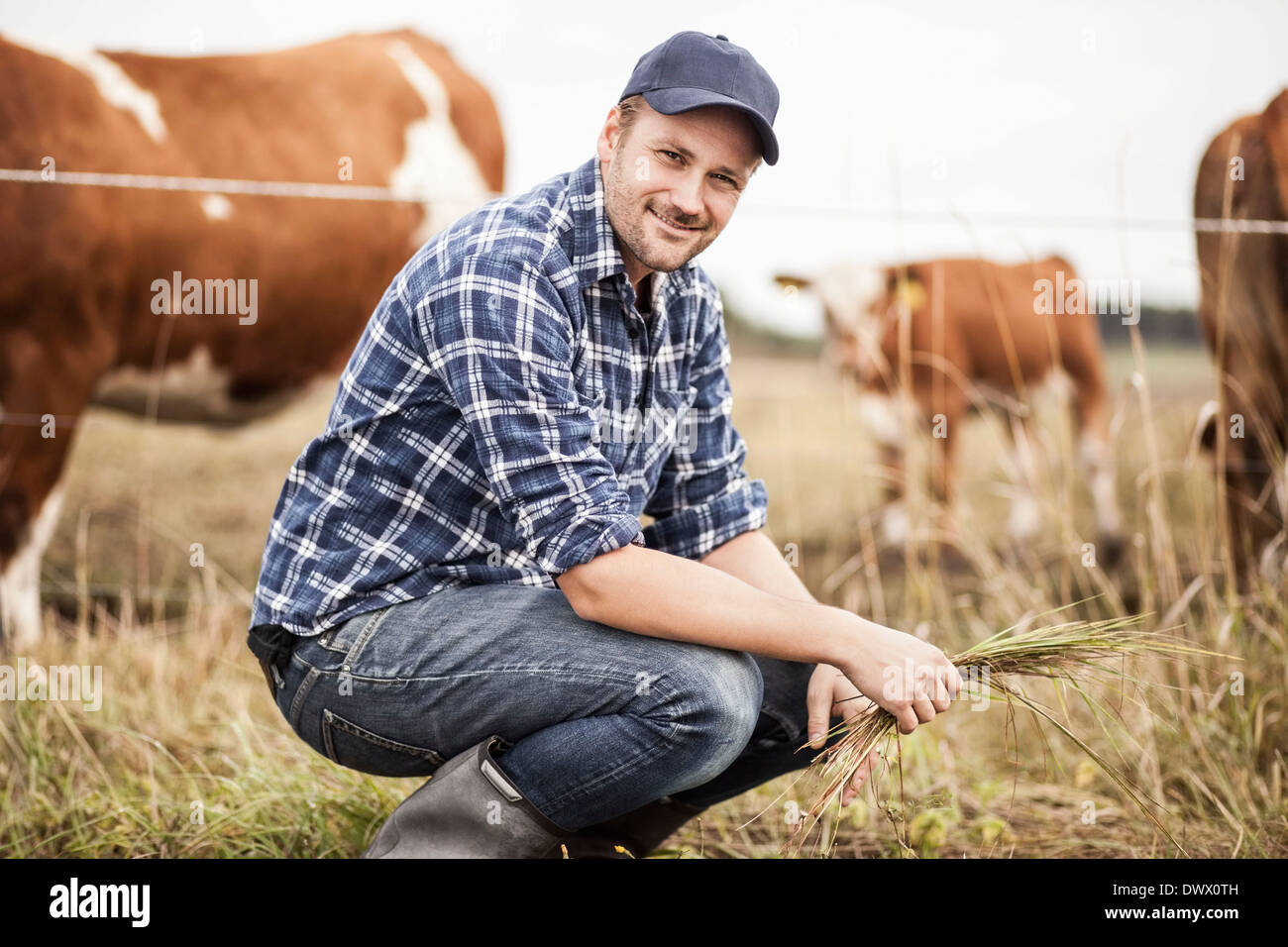 Porträt von Bauer mit Rasen hocken auf Feld während Tiere grasen im Hintergrund Stockfoto