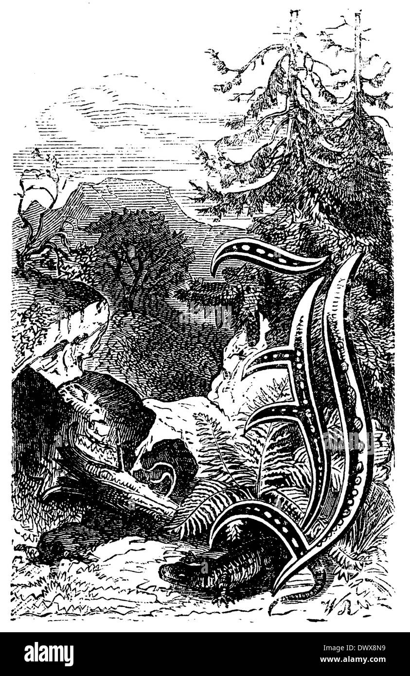 Alphabet Zeichen, Buchstaben J Stockfoto