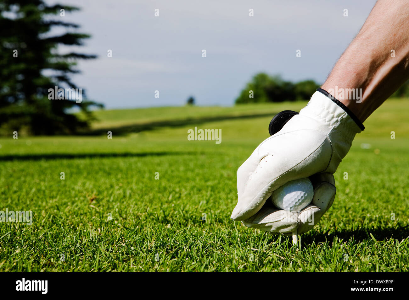 Golftee Stockfoto