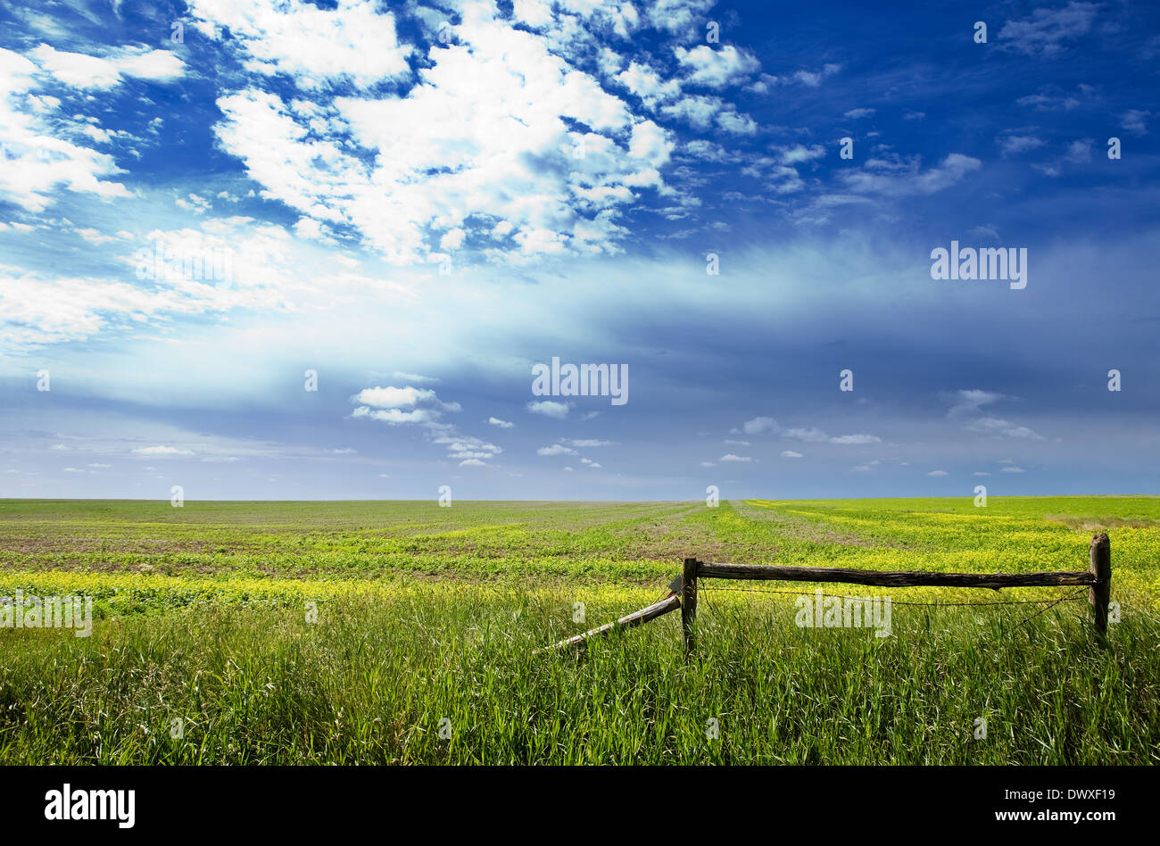 Prairie landschaft -Fotos und -Bildmaterial in hoher Auflösung – Alamy