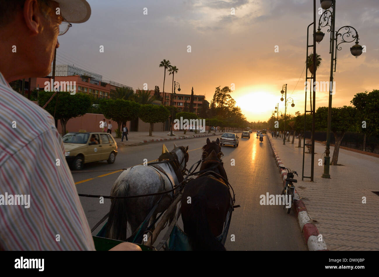Kutsche fahren (Caleche). Marrakesch. Marokko. Nordafrika Stockfoto