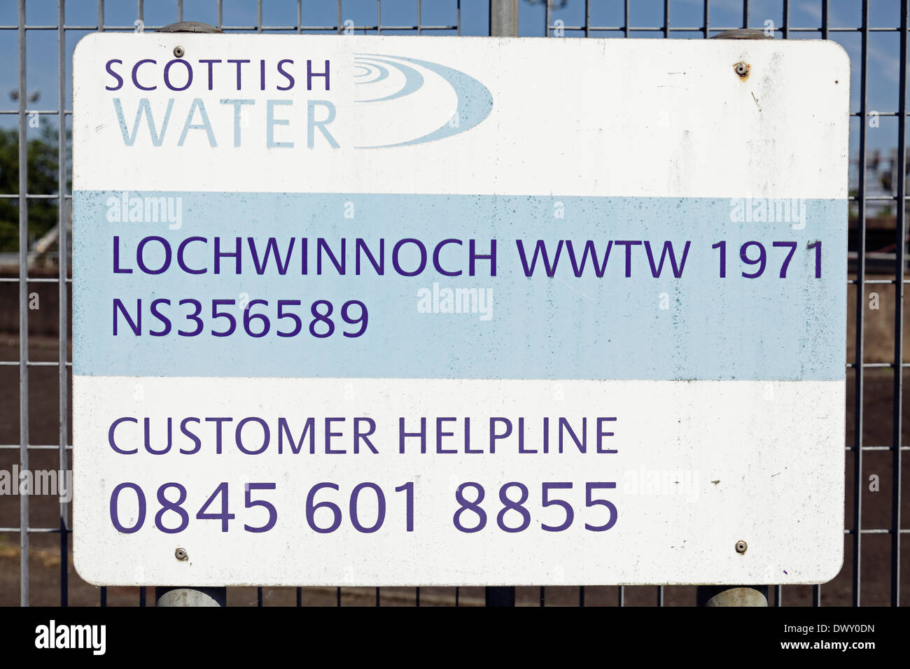 Ein schottischer Wasserzeichen bei Lochwinnoch Kläranlagen, Renfrewshire, Schottland, UK Stockfoto