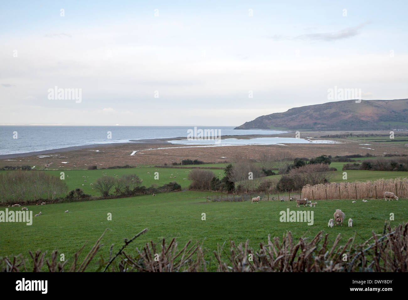 Bay bar Strand verletzt am Meer am Porlock, Somerset, England Stockfoto