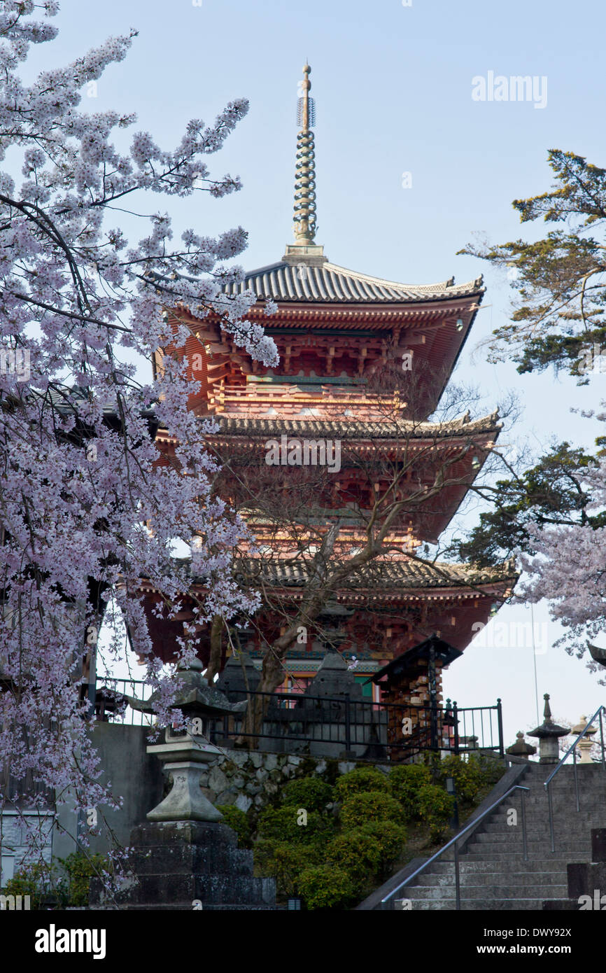 Yasaka Pagode und Kirsche blüht, Kyoto Präfektur, Japan Stockfoto