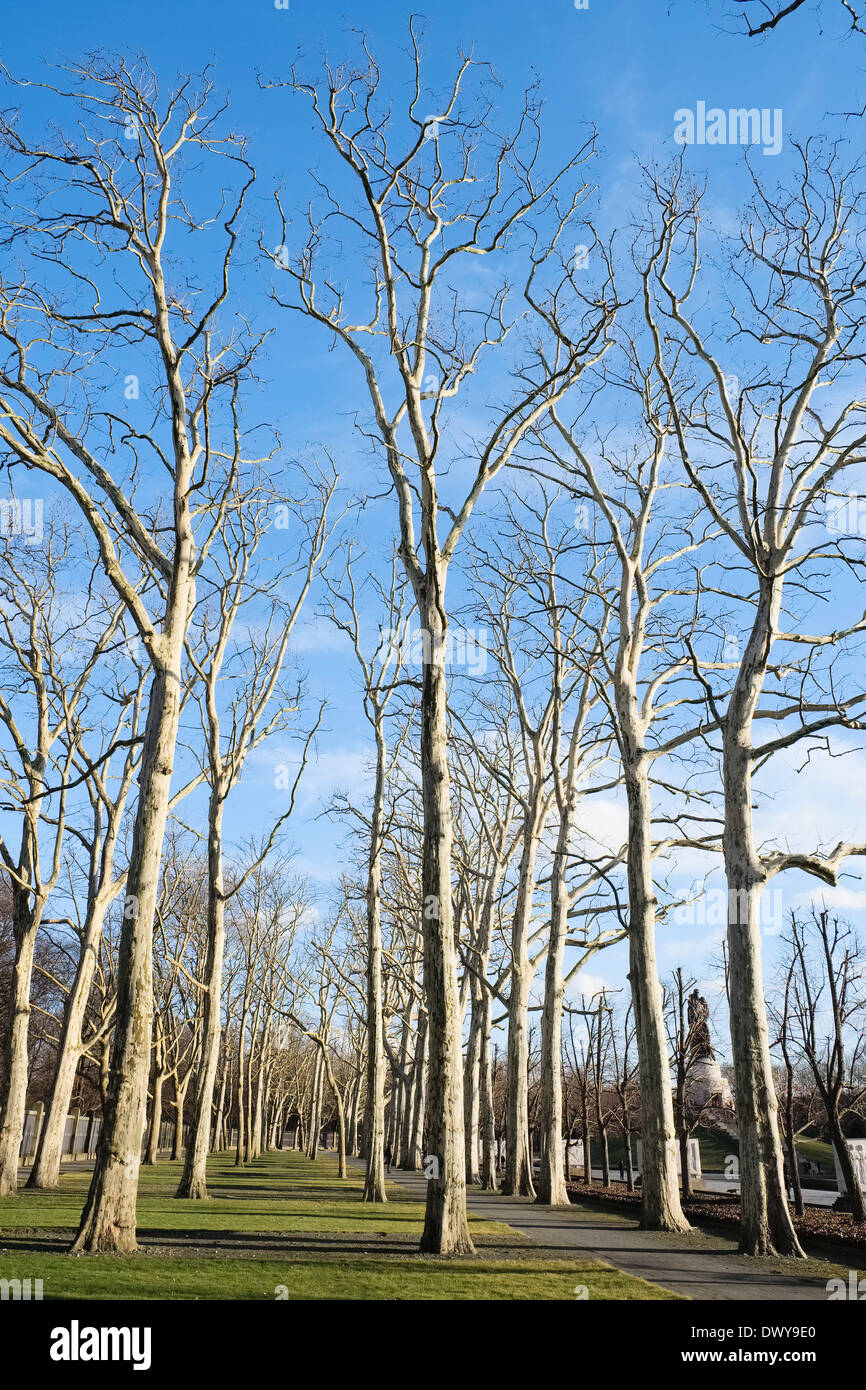 Bäume auf sowjetische Denkmal, Treptower Park, Berlin, Deutschland Stockfoto