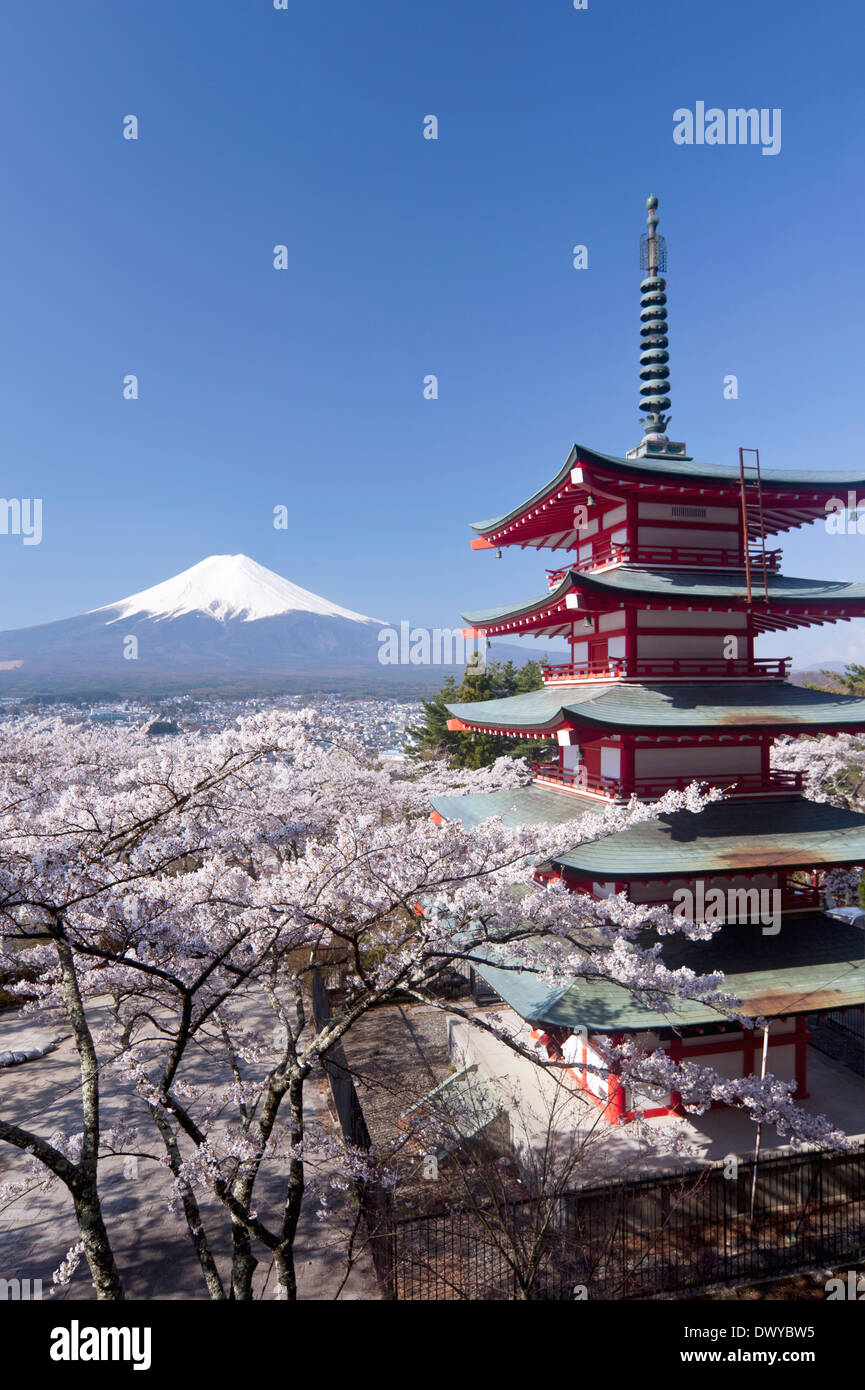 Fünfstöckige Pagode, Kirschblüten und Mount Fuji, Japan Stockfoto