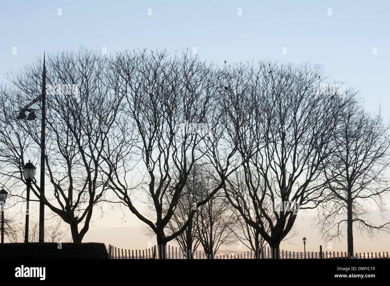 Sunrise, Wagner Park in Battery Park City, einer Nachbarschaft in Manhattan, New York City. Stockfoto