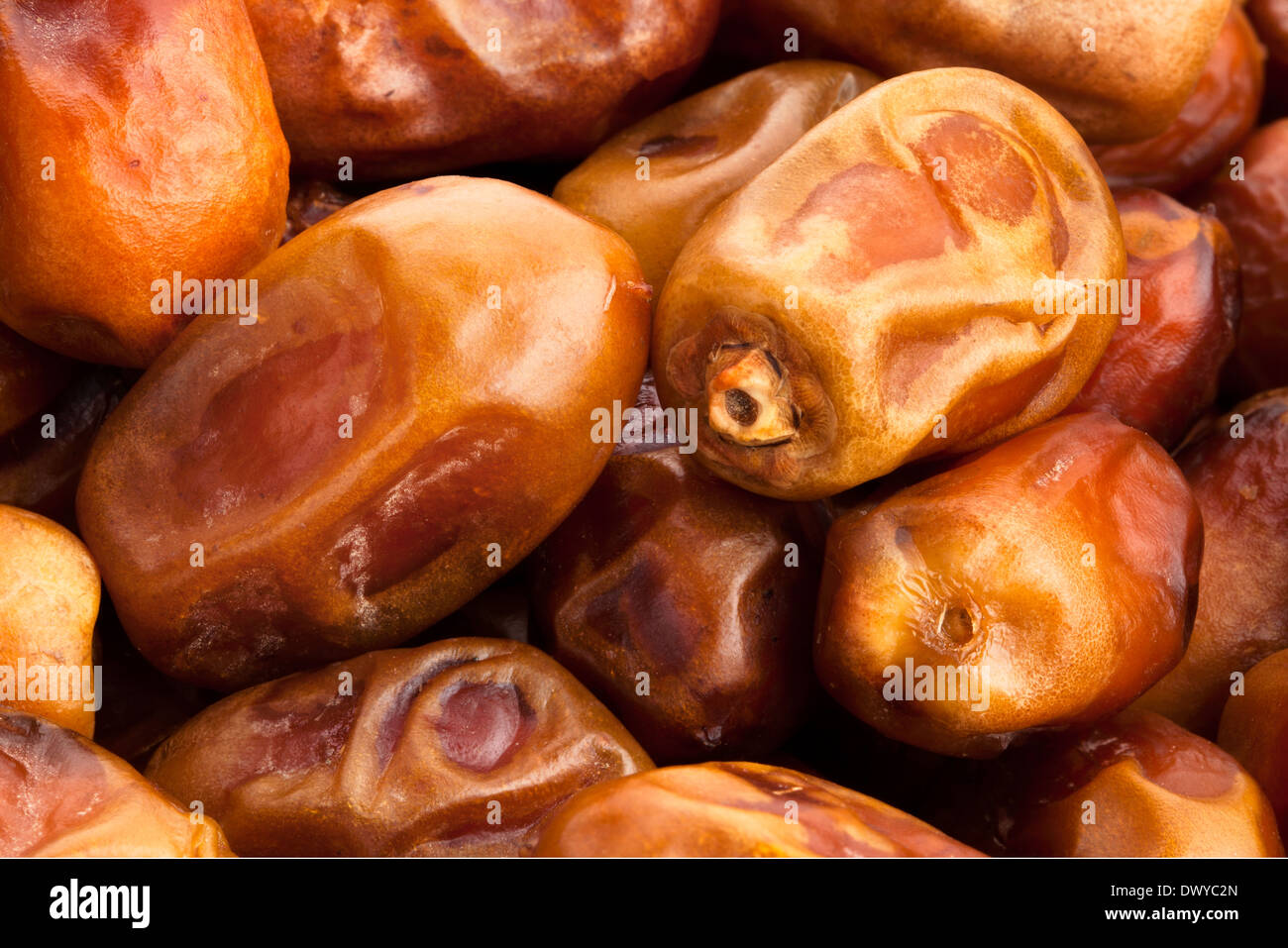 Dattel Stockfotos und -bilder Kaufen - Alamy