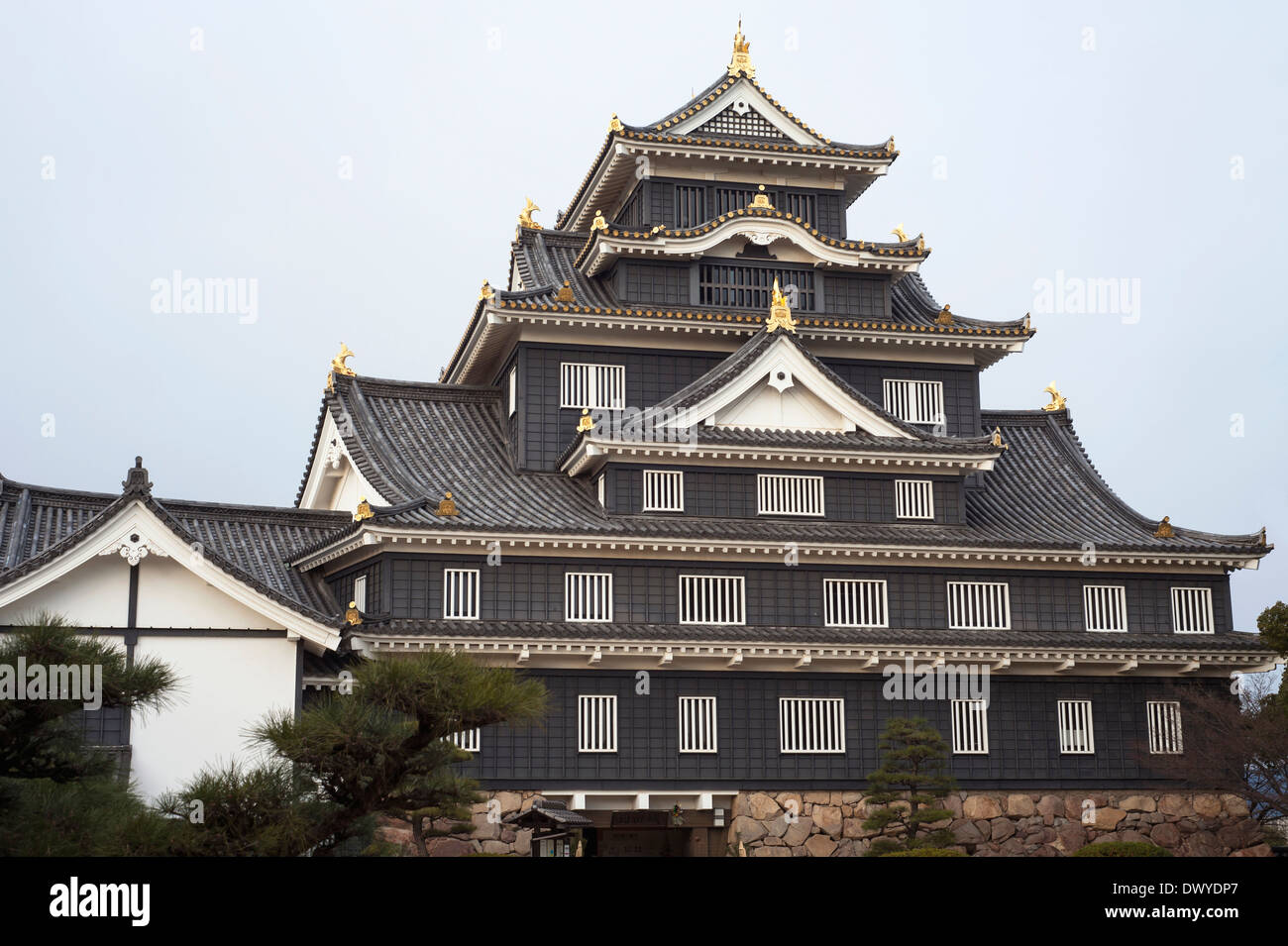 Burg Okayama, Okayama, Okayama Präfektur, Japan Stockfoto