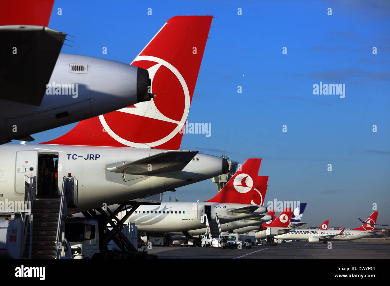 Istanbul, Türkei, Heckfluegel Maschinen der Fluggesellschaft Turkish Airlines Stockfoto