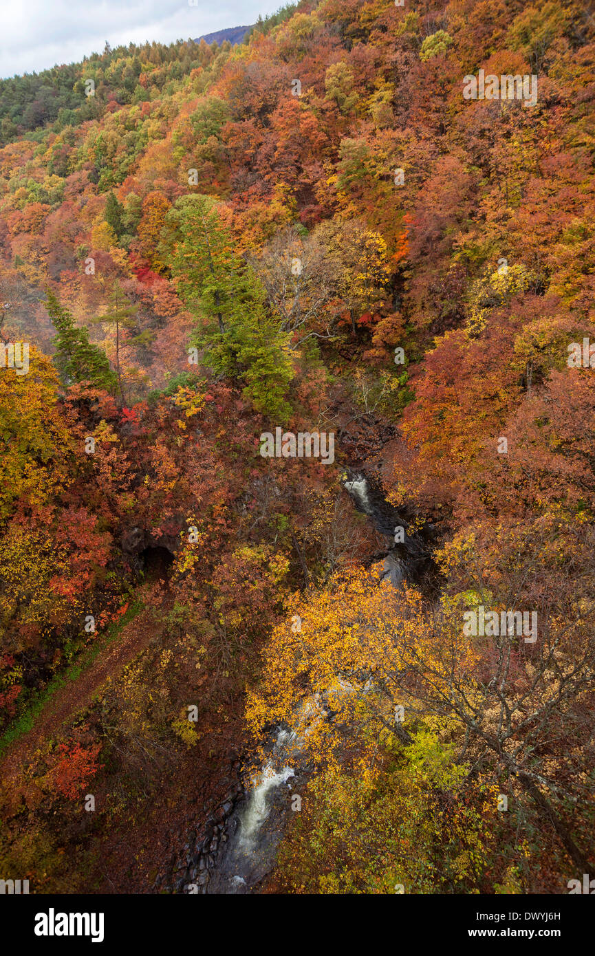 Herbst-Blick auf Urabandai, Fukushima Präfektur, Japan Stockfoto