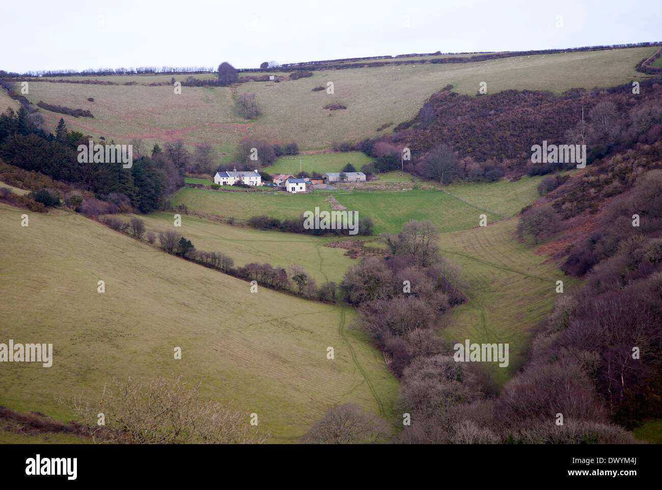 Bauernhof-Gehäuse im Tal in der Nähe von Combe Martin, Devon, England Stockfoto