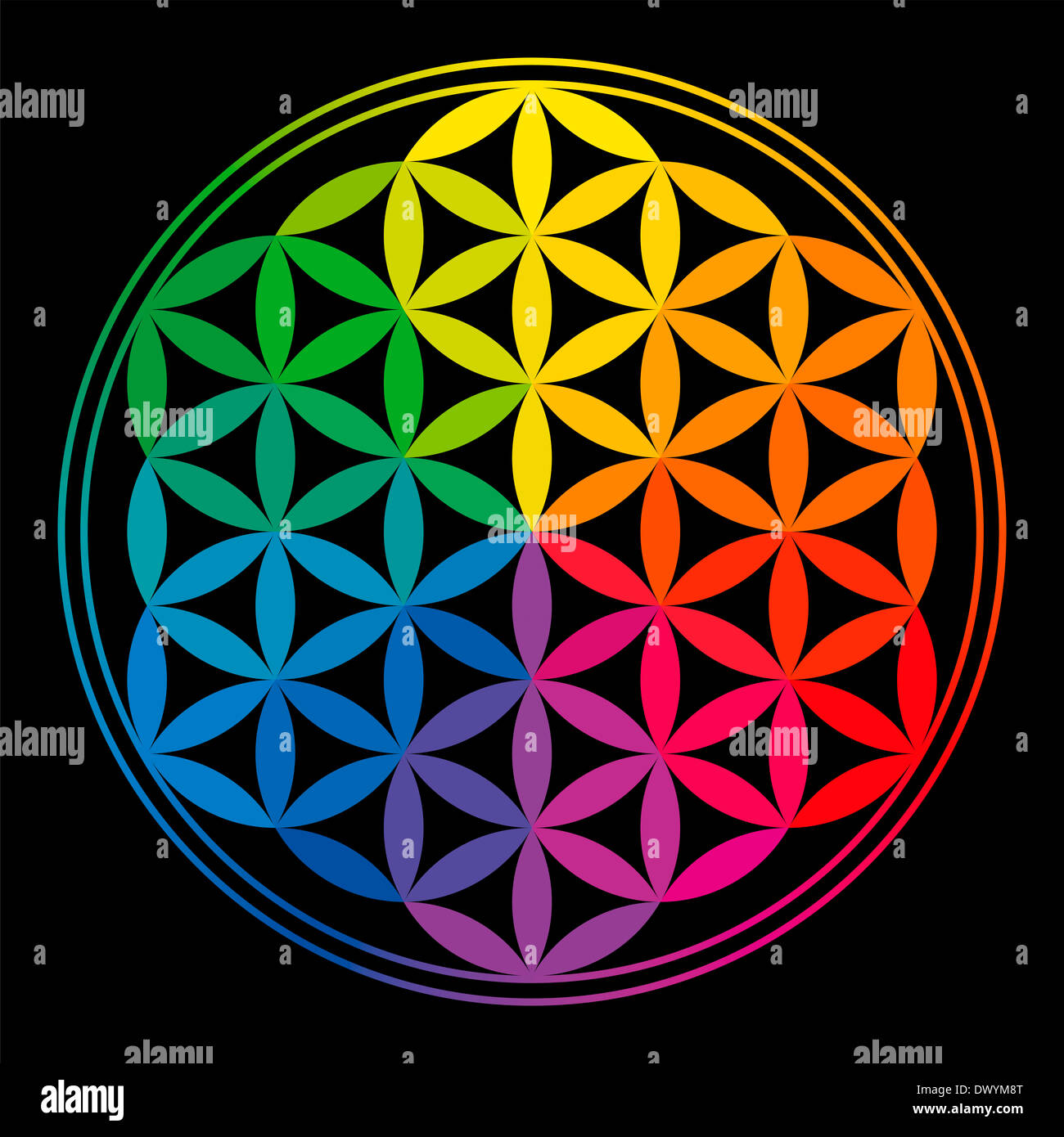 Blume des Lebens Regenbogenfarben - eine Geomtric Figur, bestehend aus mehreren gleichmäßig verteilt, überlappende Kreise. Stockfoto