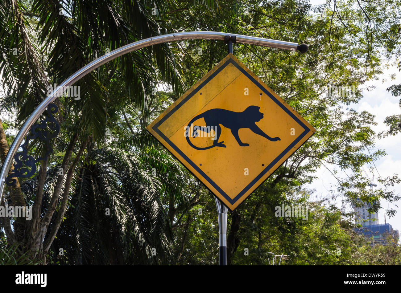 Affe Kreuzung Schild über eine Straße Warnung Fahrer in Kuala Lumpur, Malaysia Stockfoto