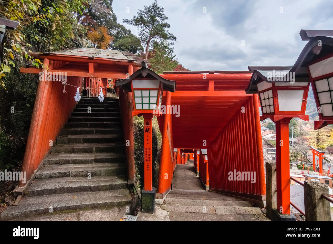 Torii Taikodani Inari-Schrein in Tsuwano, Kanoashi-Gun, Präfektur Shimane, Japan Stockfoto