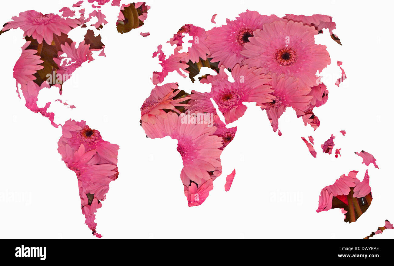 Weltkarte, Jerbera Blume, Konzept Stockfoto