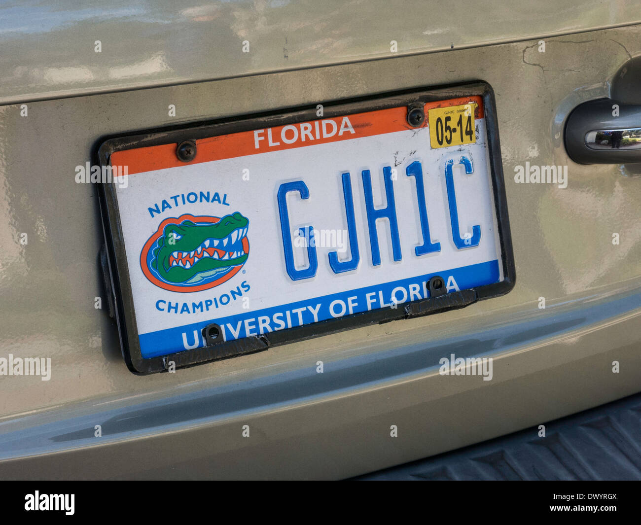 Florida National Champs Automobil Nummernschild, Tampa, FL, USA Stockfoto